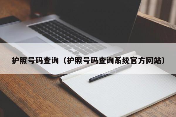 护照号码查询（护照号码查询系统官方网站）