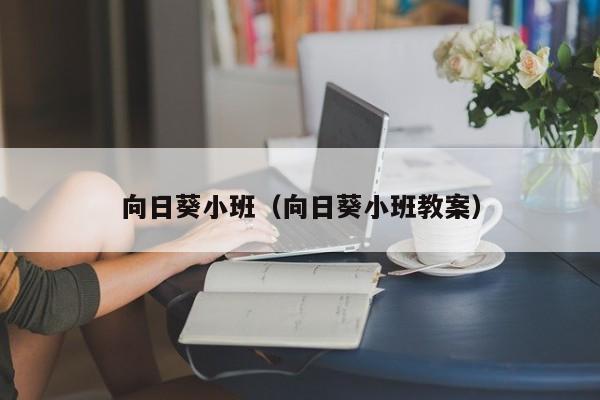 向日葵小班（向日葵小班教案）