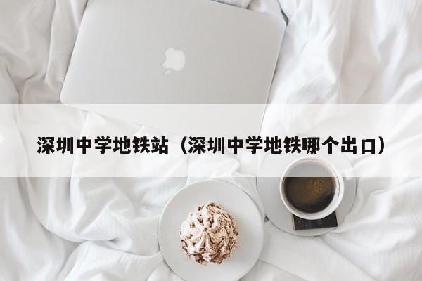 深圳中学地铁站（深圳中学地铁哪个出口）