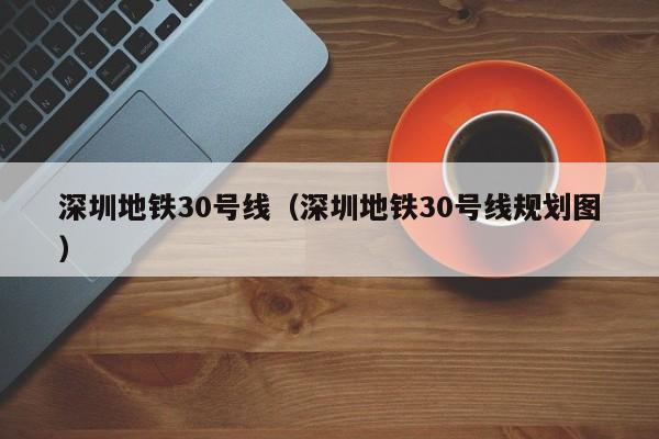 深圳地铁30号线（深圳地铁30号线规划图）