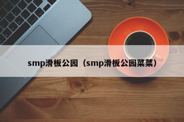 smp滑板公园（smp滑板公园菜菜）  第1张