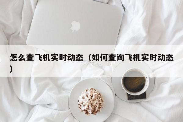 怎么查飞机实时动态（如何查询飞机实时动态）