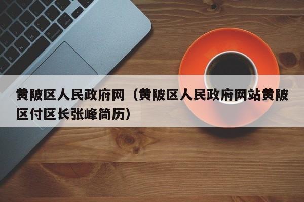 黄陂区人民政府网（黄陂区人民政府网站黄陂区付区长张峰简历）