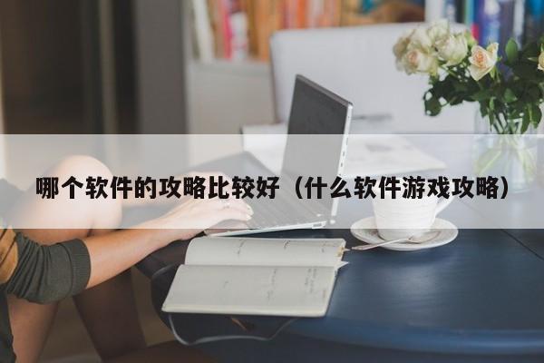 哪个软件的攻略比较好（什么软件游戏攻略）