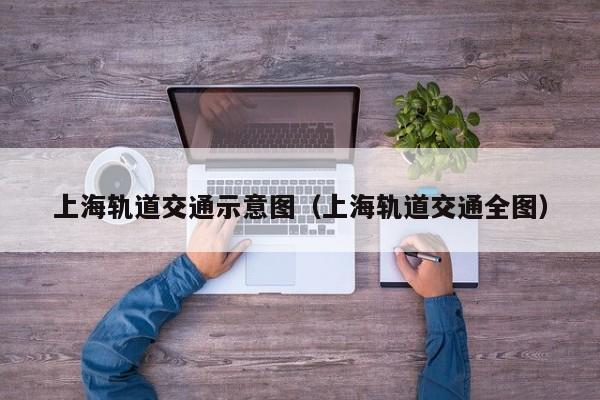 上海轨道交通示意图（上海轨道交通全图）