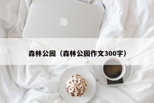 森林公园（森林公园作文300字）