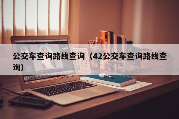 公交车查询路线查询（42公交车查询路线查询）  第1张