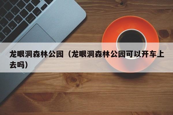 龙眼洞森林公园（龙眼洞森林公园可以开车上去吗）