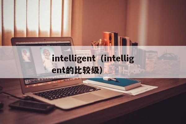 intelligent（intelligent的比较级）