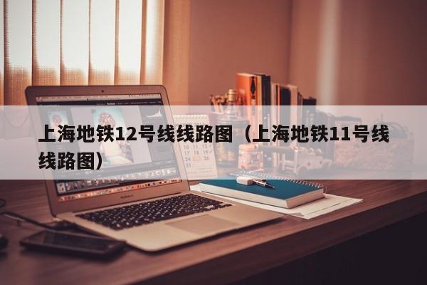 上海地铁12号线线路图（上海地铁11号线线路图）  第1张