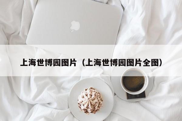 上海世博园图片（上海世博园图片全图）